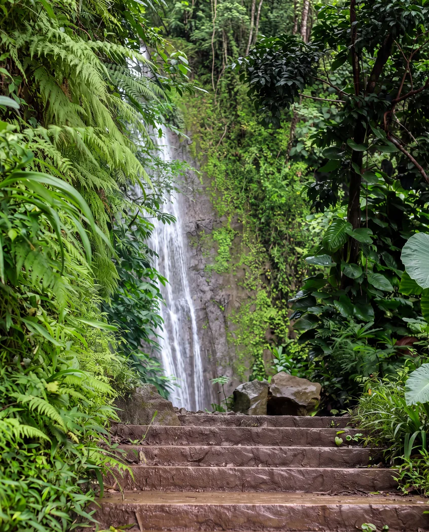 Moana Falls cascading through lush tropical greenery